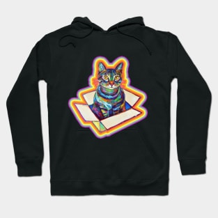 Weird Aesthetic Rainbow Cat Pattern by Robert Phelps Hoodie